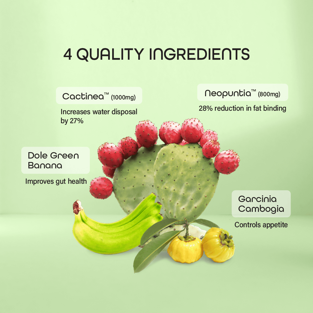 Meito Lean - Meitonics Malaysia